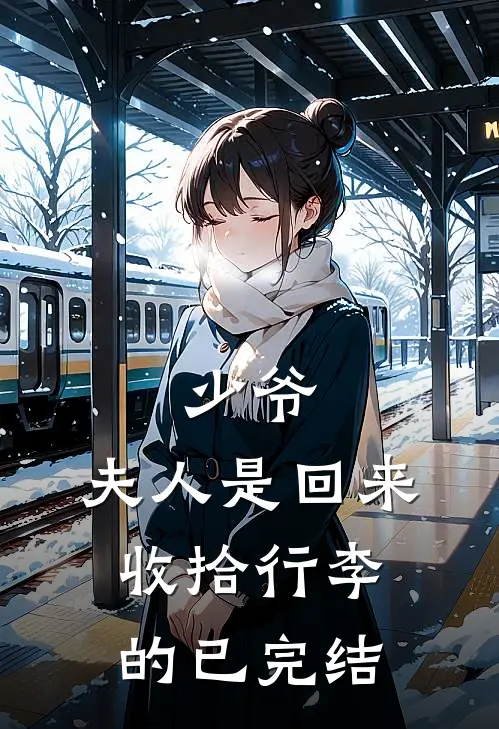 少爷，夫人是回来收拾行李的已完结