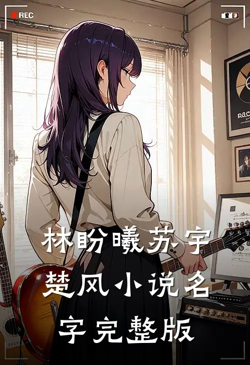 林盼曦苏宇楚风小说名字完整版
