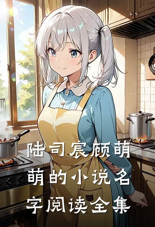 陆司宸顾萌萌的小说名字阅读全集