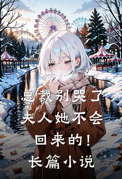 总裁别哭了，夫人她不会回来的！长篇小说