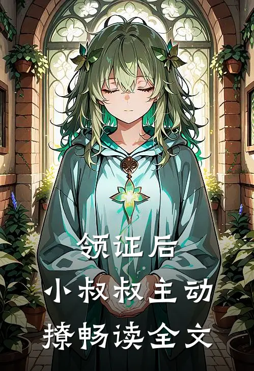 领证后，小叔叔主动撩畅读全文