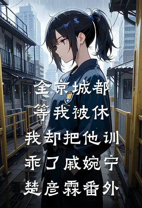从此无心爱良夜的小说