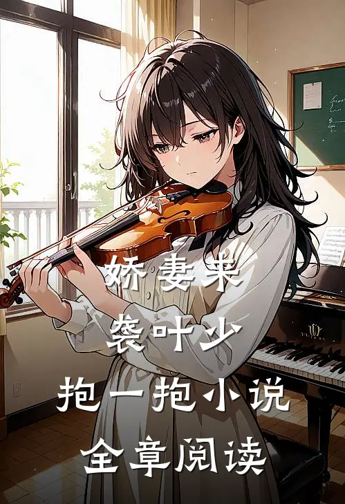 娇妻来袭叶少,抱一抱 小说全章阅读