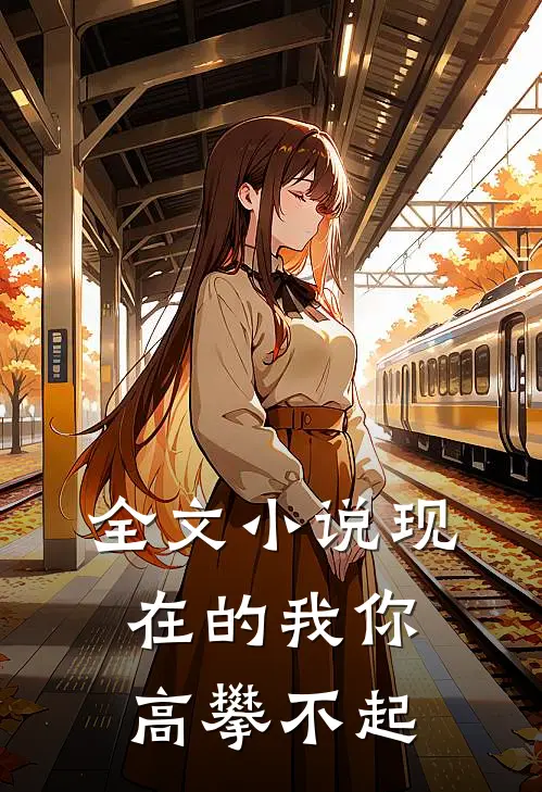 全文小说现在的我你高攀不起