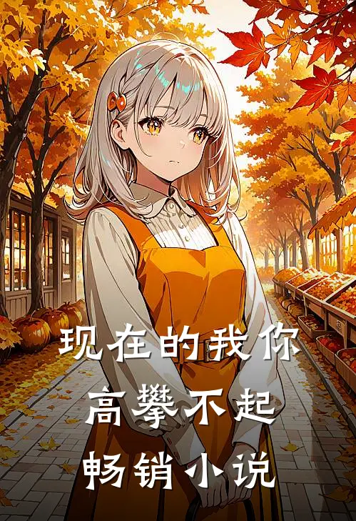现在的我你高攀不起畅销小说