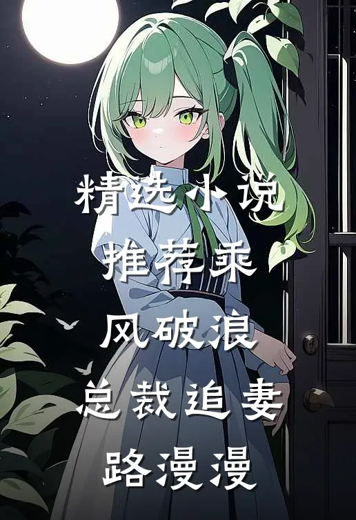 精选小说推荐乘风破浪：总裁追妻路漫漫