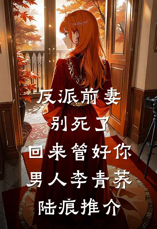 分手五年，我被前男友的劳斯莱斯追尾了篇章