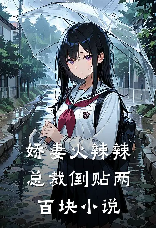 娇妻火辣辣,总裁倒贴两百块小说