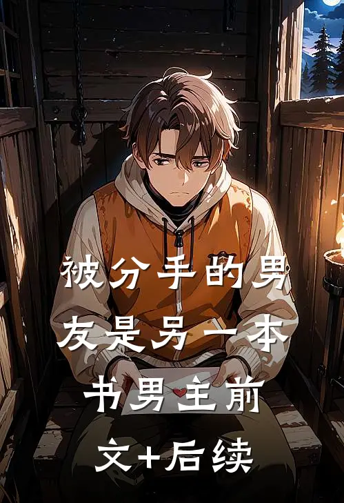 被分手的男友是另一本书男主前文+后续