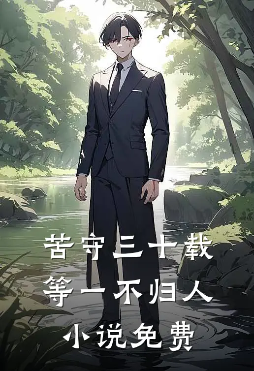 苦守三十载，等一不归人小说免费
