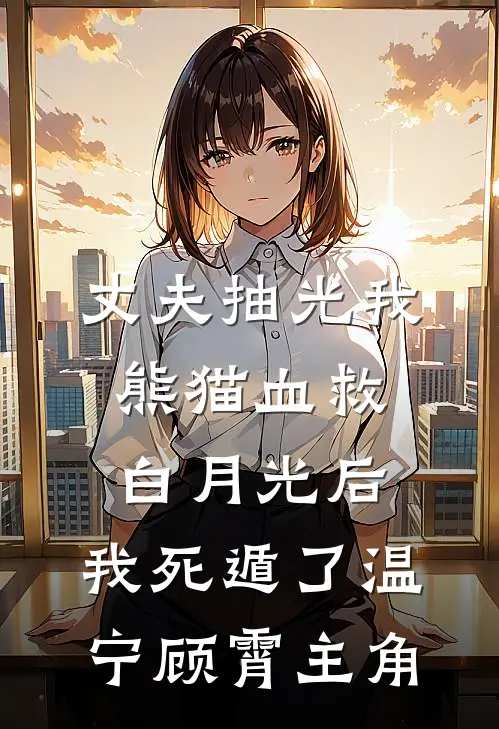 爱已破碎，再无朝暮好看的小说推荐完结