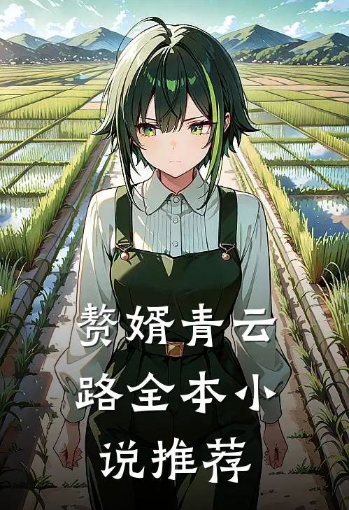 赘婿青云路全本小说推荐