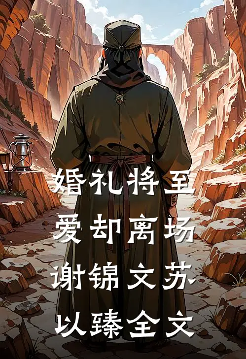 婚礼将至，爱却离场谢锦文苏以臻全文
