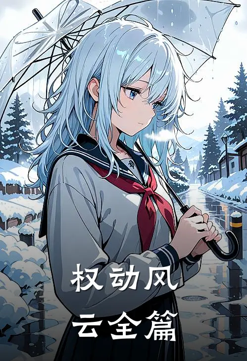 权动风云全篇
