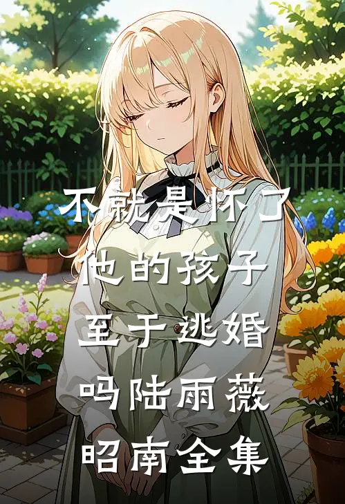 不就是怀了他的孩子，至于逃婚吗陆雨薇昭南全集
