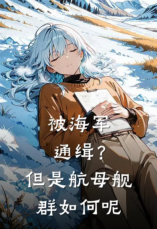 被海军通缉？但是航母舰群如何呢
