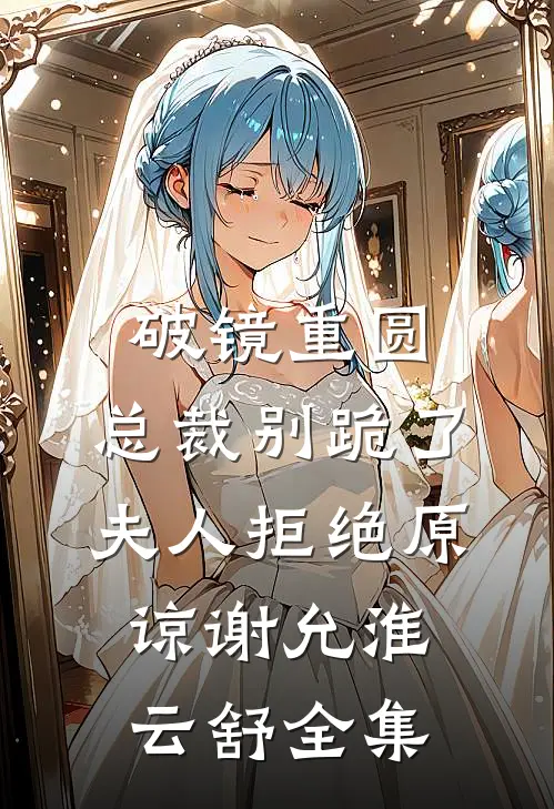 破镜重圆：总裁别跪了，夫人拒绝原谅谢允淮云舒全集