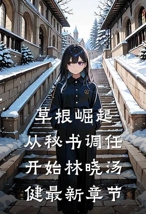草根崛起：从秘书调任开始林晓汤健最新章节