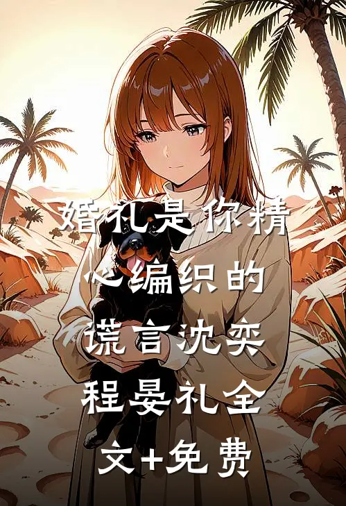 婚礼是你精心编织的谎言沈奕程晏礼全文+免费