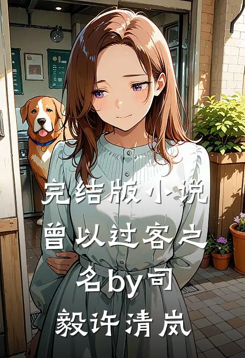 完结版小说曾以过客之名by司毅许清岚