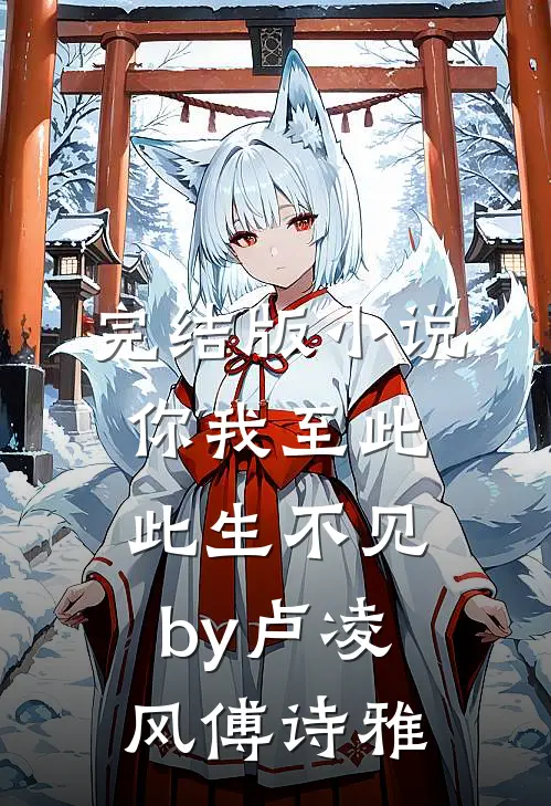 完结版小说你我至此，此生不见by卢凌风傅诗雅