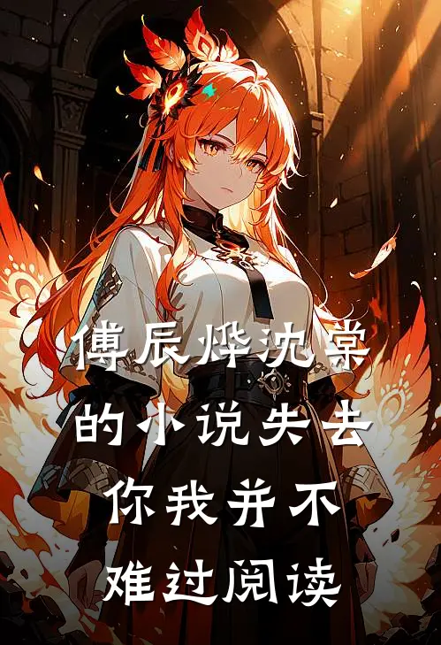 傅辰烨沈棠的小说失去你我并不难过阅读