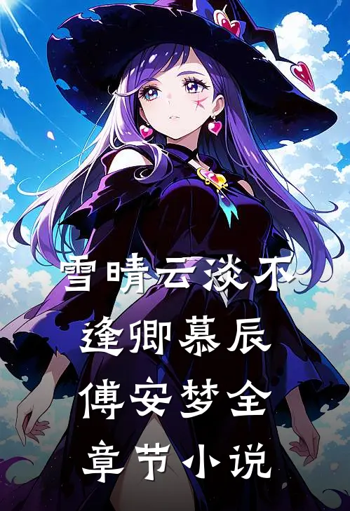 雪晴云淡不逢卿慕辰傅安梦全章节小说