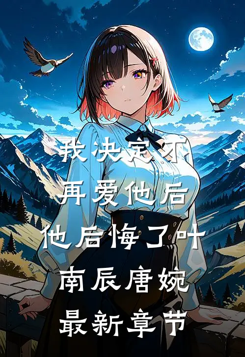 我决定不再爱他后，他后悔了叶南辰唐婉最新章节