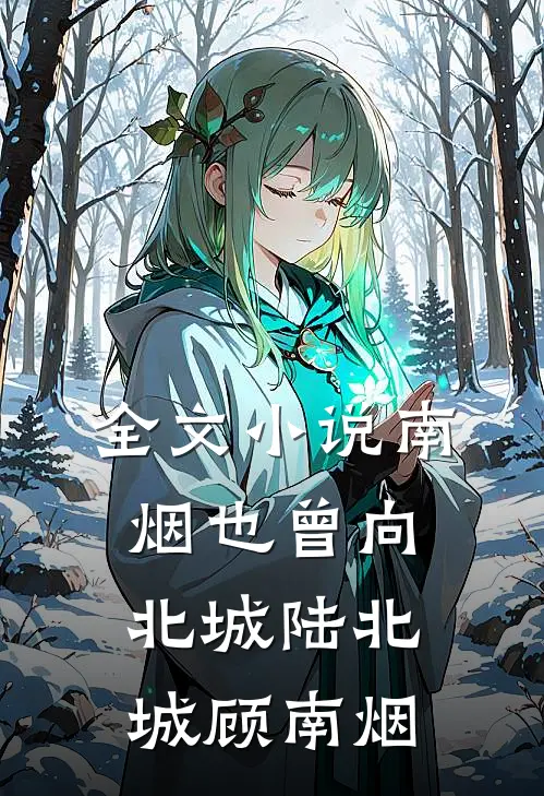 全文小说南烟也曾向北城陆北城顾南烟