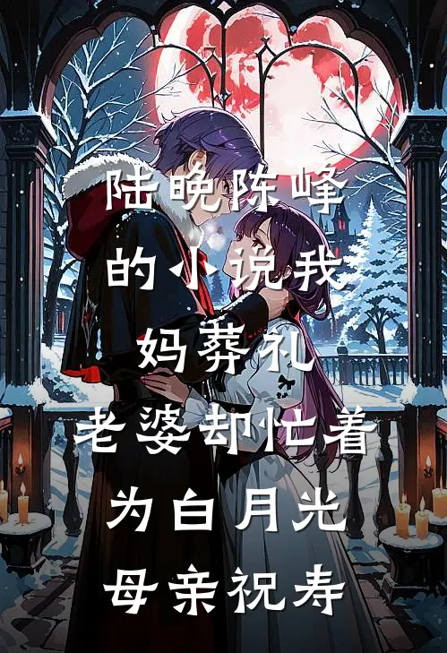 陆晚陈峰的小说我妈葬礼，老婆却忙着为白月光母亲祝寿