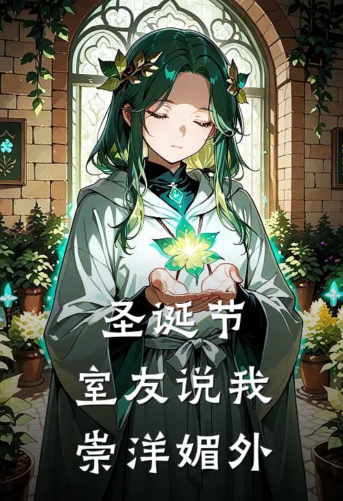 圣诞节，室友说我崇洋媚外