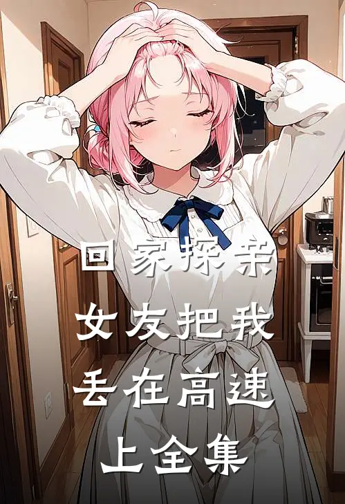回家探亲，女友把我丢在高速上全集
