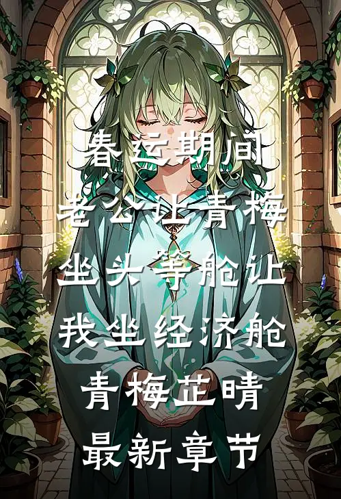 春运期间，老公让青梅坐头等舱让我坐经济舱青梅芷晴最新章节