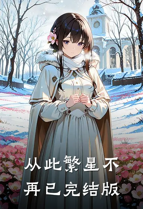 从此繁星不再已完结版