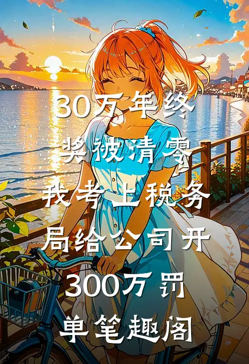 30万年终奖被清零，我考上税务局给公司开300万罚单笔趣阁