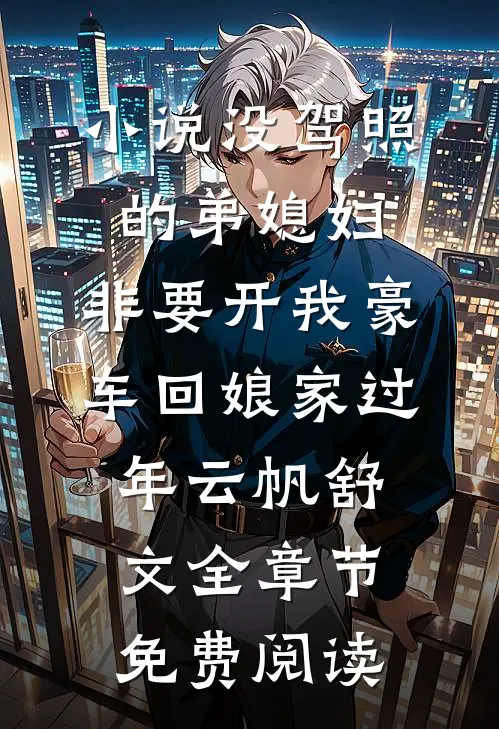 小说没驾照的弟媳妇，非要开我豪车回娘家过年云帆舒文全章节免费阅读