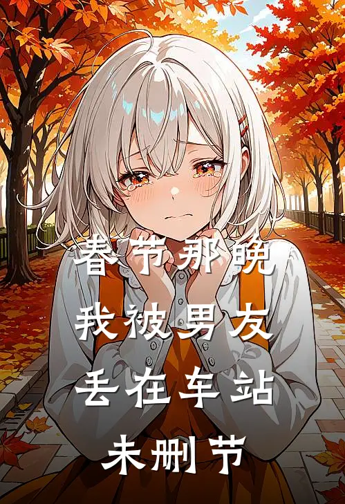 春节那晚，我被男友丢在车站未删节