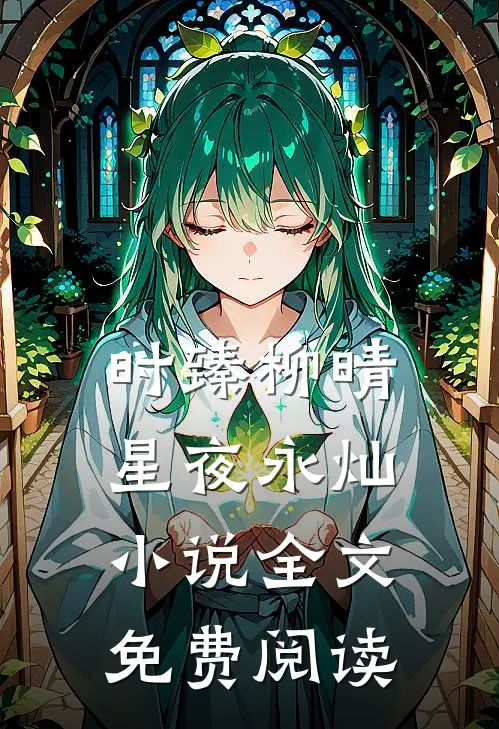 时臻柳晴星夜永灿小说全文免费阅读