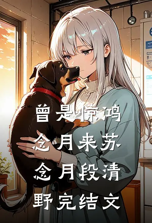 曾是惊鸿念月来苏念月段清野完结文