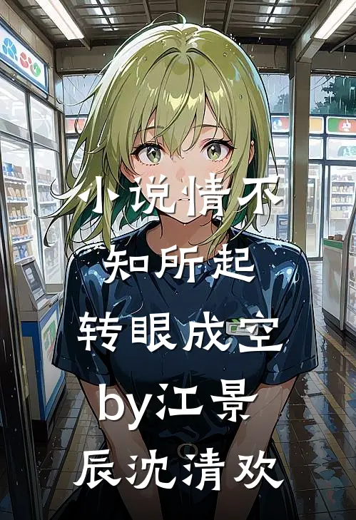 小说情不知所起，转眼成空by江景辰沈清欢