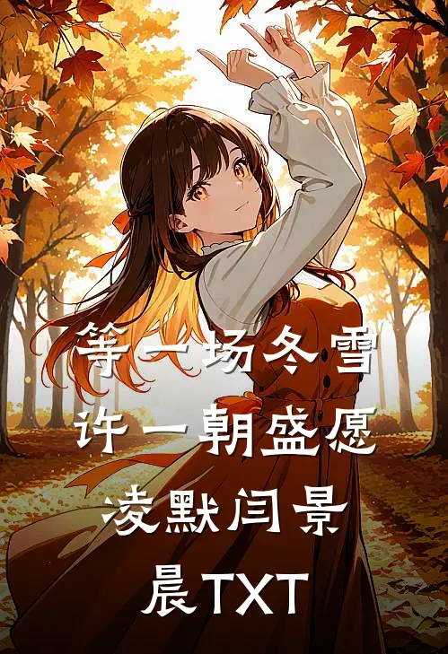 你是倒映的微星结局+后续
