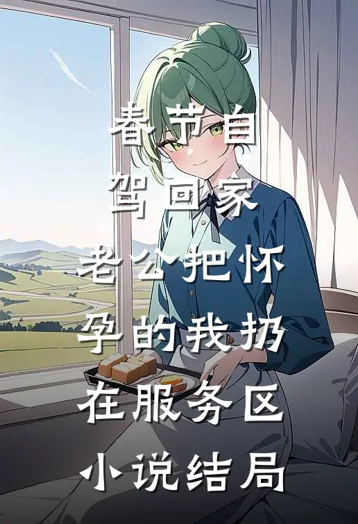 春节自驾回家，老公把怀孕的我扔在服务区小说结局