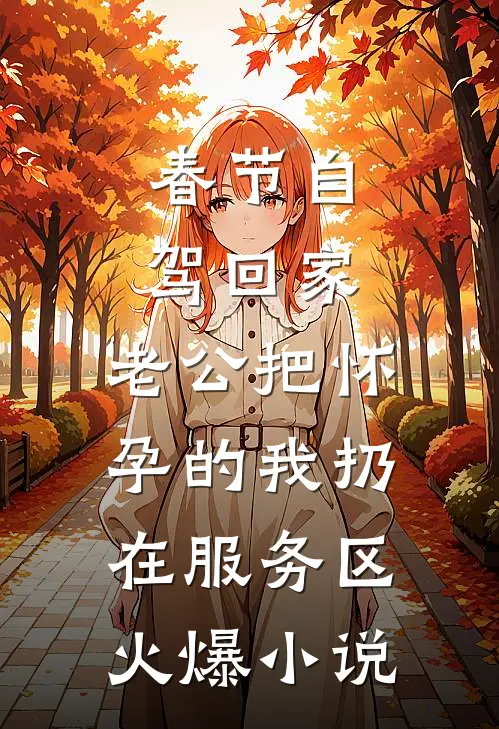 春节自驾回家，老公把怀孕的我扔在服务区火爆小说