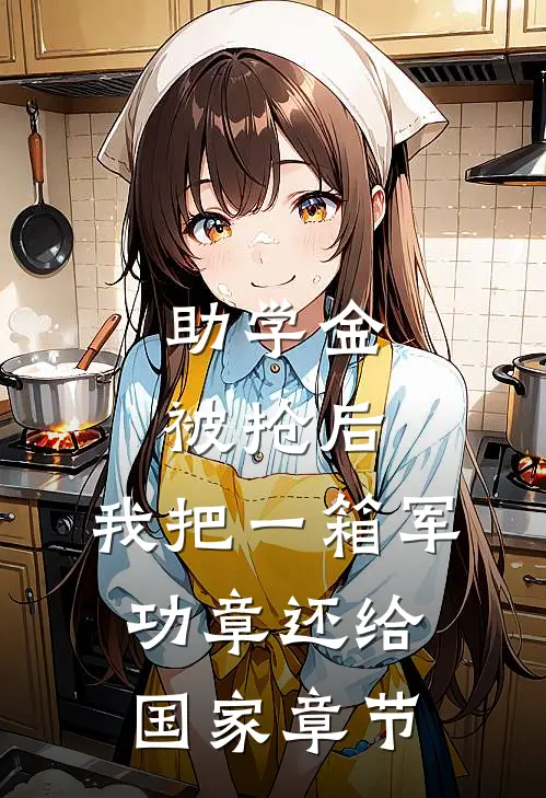 助学金被抢后，我把一箱军功章还给国家章节
