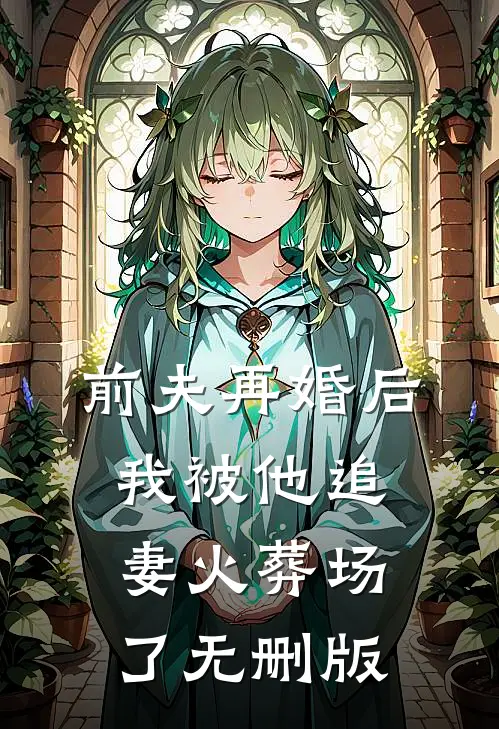 前夫再婚后，我被他追妻火葬场了无删版