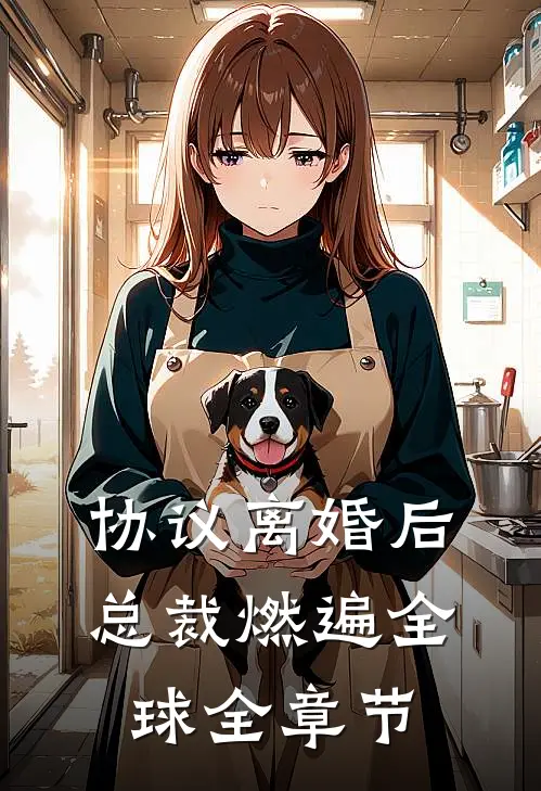 协议离婚后，总裁燃遍全球全章节