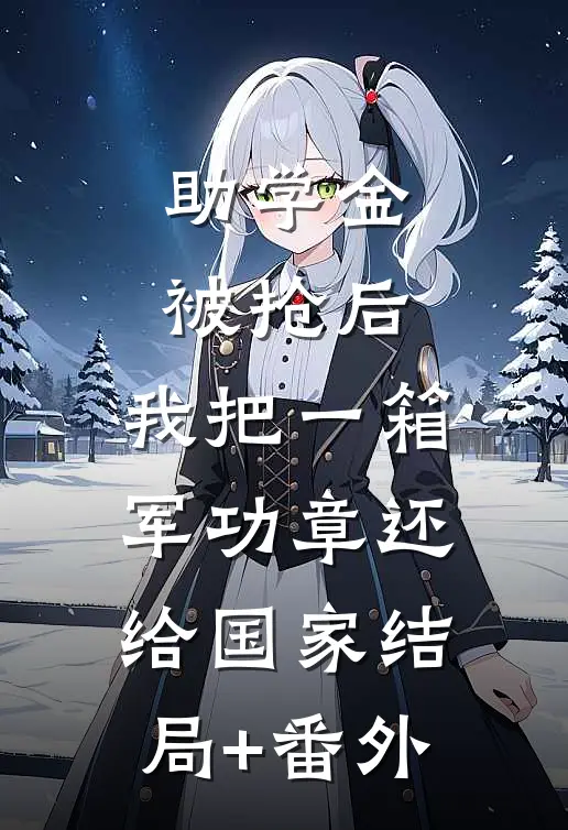 助学金被抢后，我把一箱军功章还给国家结局+番外