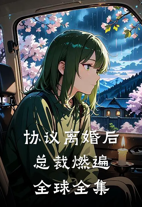 协议离婚后，总裁燃遍全球全集