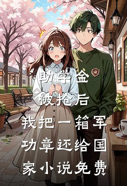 助学金被抢后，我把一箱军功章还给国家小说免费