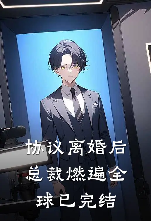 协议离婚后，总裁燃遍全球已完结